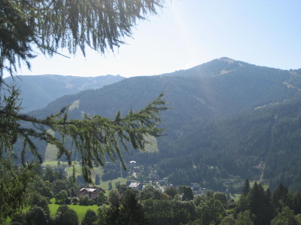 Ferienhaus Stiglitzweg Villa Bad Kleinkirchheim Room photo